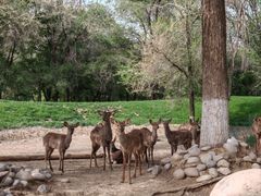 -北京野生动物园
