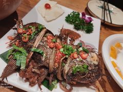 -老滇山寨•云南特色菜•地方菜•民族风情歌舞表演(金碧店)