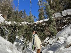 -峡谷浮石林景区