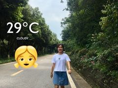 -铁山坪森林公园