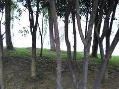 -艾溪湖湿地公园