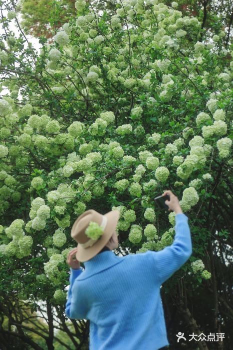 杭州城北体育公园图片