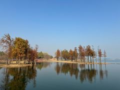 -贡湖湾湿地公园