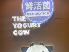 -一只酸奶牛(双流万达广场店)