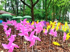 -上海共青森林公园