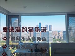 -爱洗澡的猫(望京店)
