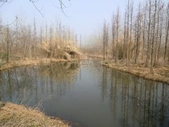 -溱湖国家湿地公园