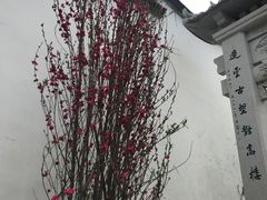 -乌山风景区