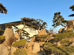 -罗红摄影艺术馆