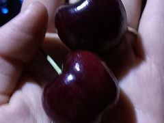 -菜园坝水果市场