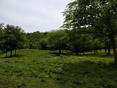 -大水川景区