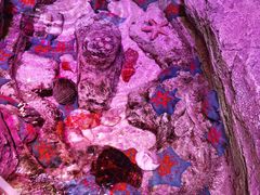 -沈阳海洋探索中心