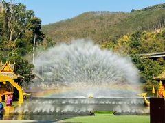 -西双版纳原始森林公园