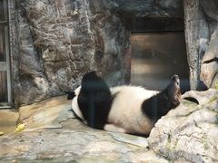 -五龙山野生动物王国