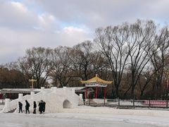 -平房公园