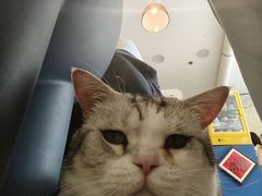 -平行世界·猫咖(首经贸店)