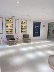 -MIVI野生眉纹绣纹眉