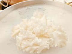 绣球菌-东门口·新式老北京火锅(河西龙湖天街店)