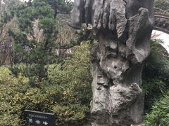 -汇龙潭