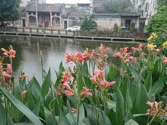 -黄埔古港