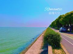 -贡湖湾湿地公园