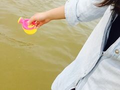 -碧海金沙