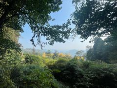 -凤栖山