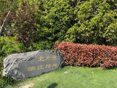 -北外滩滨江绿地