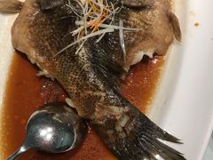 -张生记(丁香国际店)