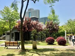 -新虹桥中心花园