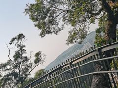 -福道