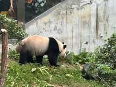 -黔灵山公园