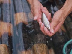 -九曲溪竹筏码头