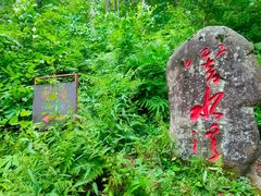 -五营红松林海景区