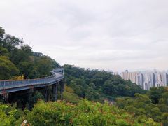 -金鸡山公园