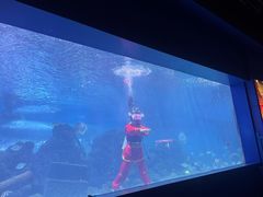 -重庆欢乐海底世界
