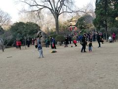 -洛阳市牡丹公园