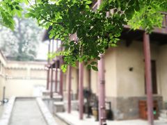 -静园(和平区)