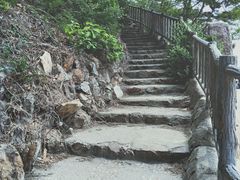 -棒棰岛宾馆景区
