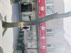 -北京稻香村(学清店)