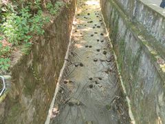 -滴水洞景区