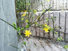 -象山森林公园