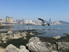 -黑石礁公园