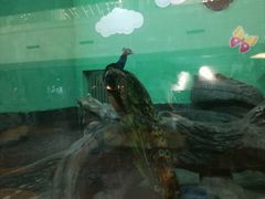 -绍兴梦享海洋公园