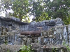 -清迈夜间动物园