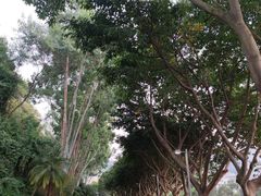 -厦门博饼民俗园