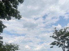 -顺峰山公园