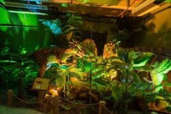 -恐龙探索乐园(磁器口店)