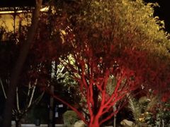 -剑河仰阿莎温泉小镇