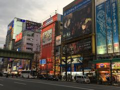 -秋叶原电器街